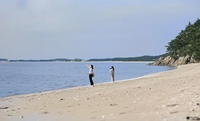 海豚 돌핀