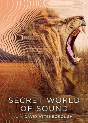 大卫·艾登堡：大自然的声音 Secret World of Sound with David Attenborough